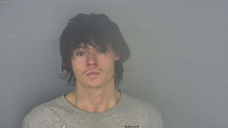 Arrest photo of LUCAS SPARKS