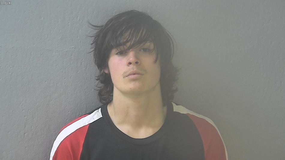 Arrest photo of LUCAS SPARKS