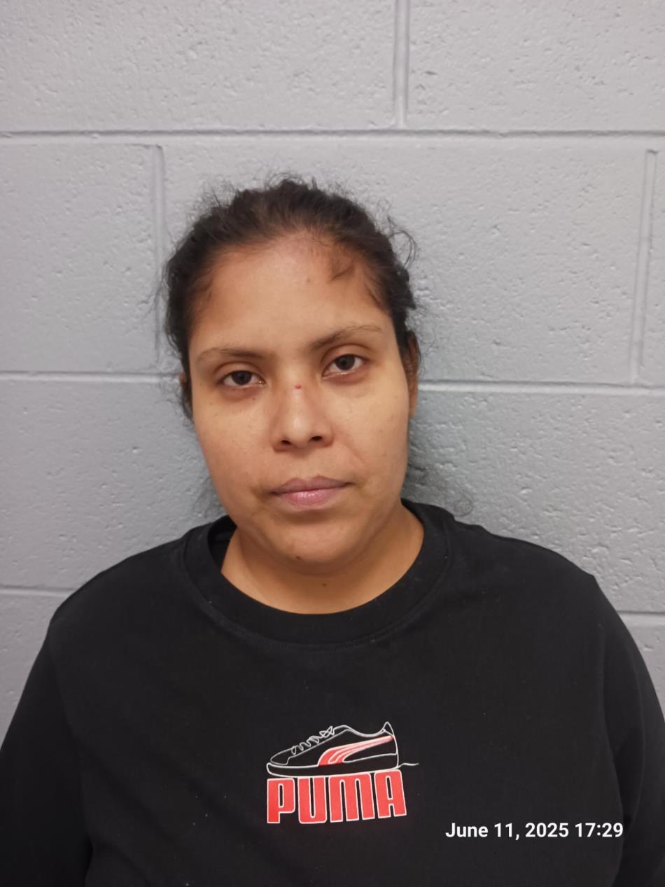 Arrest photo of LUCIA AVENDANO-FLORES