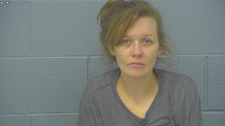 Arrest photo of LUCINDA ROBERTS