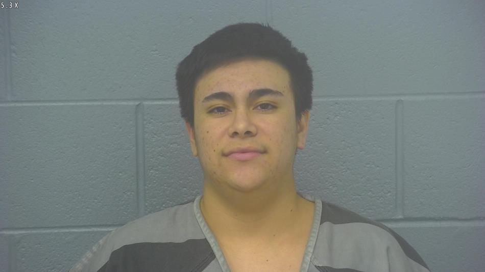 Arrest Photo of LUIS OCHOA-NIEBLAS, arrested on 7/1/2024