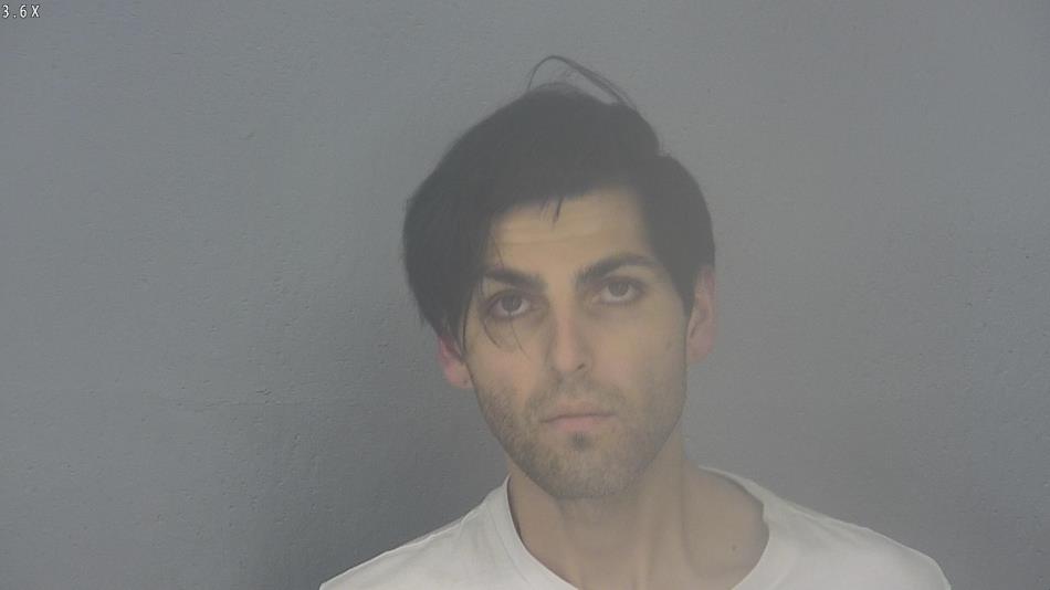 Arrest photo of LUIS PARACHE