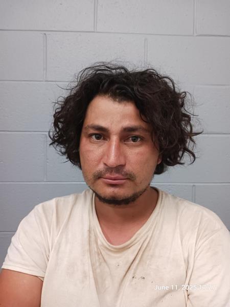 Arrest photo of LUIS ARTEAGA BARAHONA