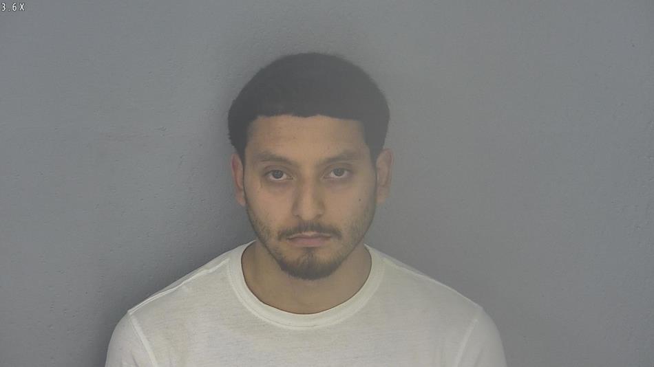 Arrest photo of LUIS LARA