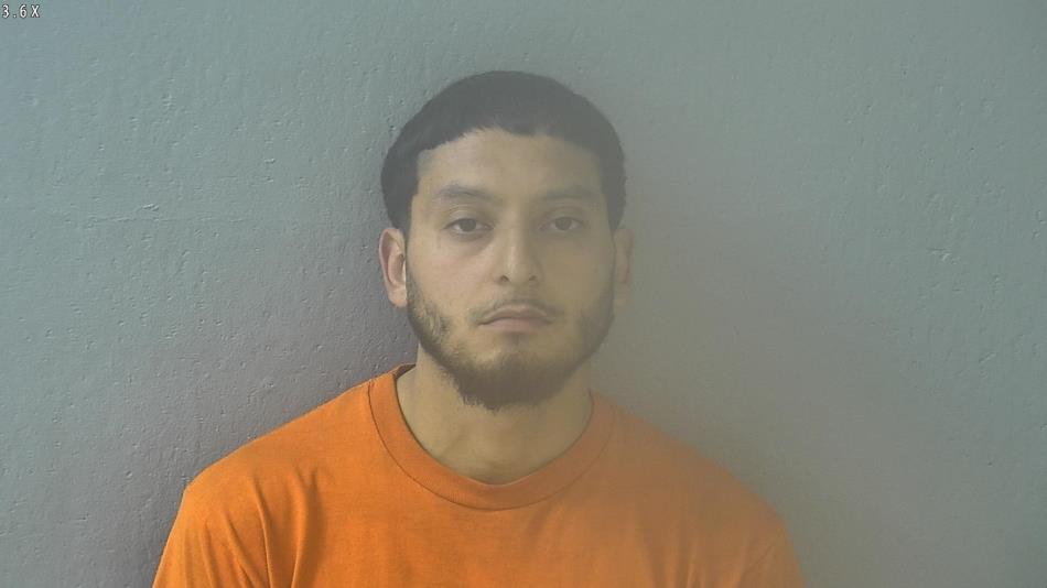 Arrest photo of LUIS LARA