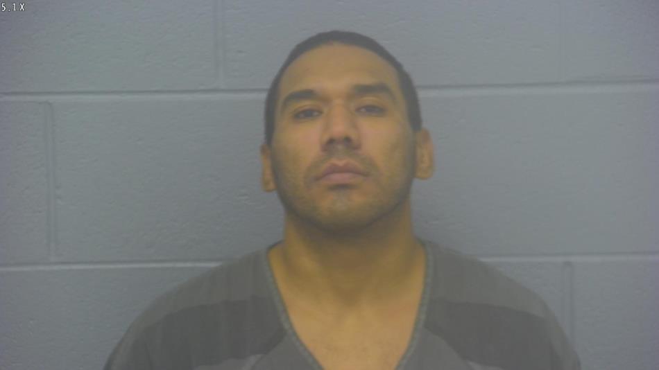 Arrest photo of LUIS ESTRADA-OLIVAREZ