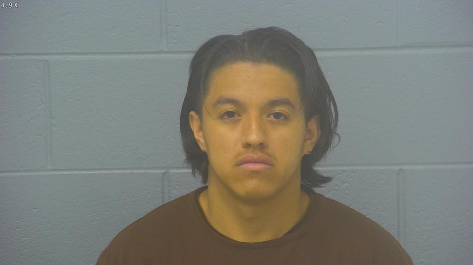 Arrest Photo of LUIS FELIX-GRIJALVA, arrested on 2/28/2024