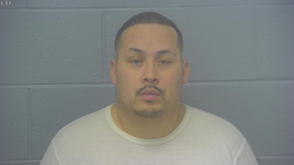 Arrest Photo of LUIS PEREZ, arrested on 2/6/2025