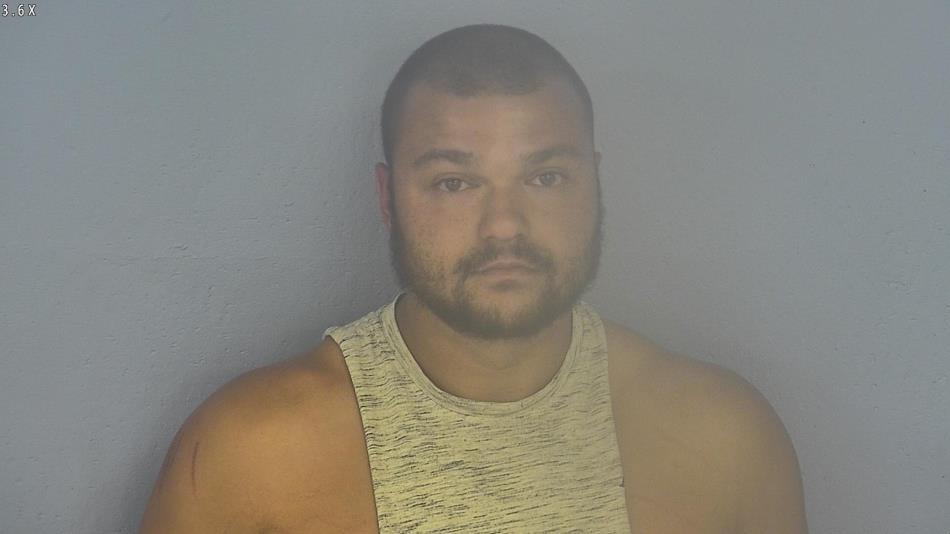 Arrest photo of LUKAS LOK