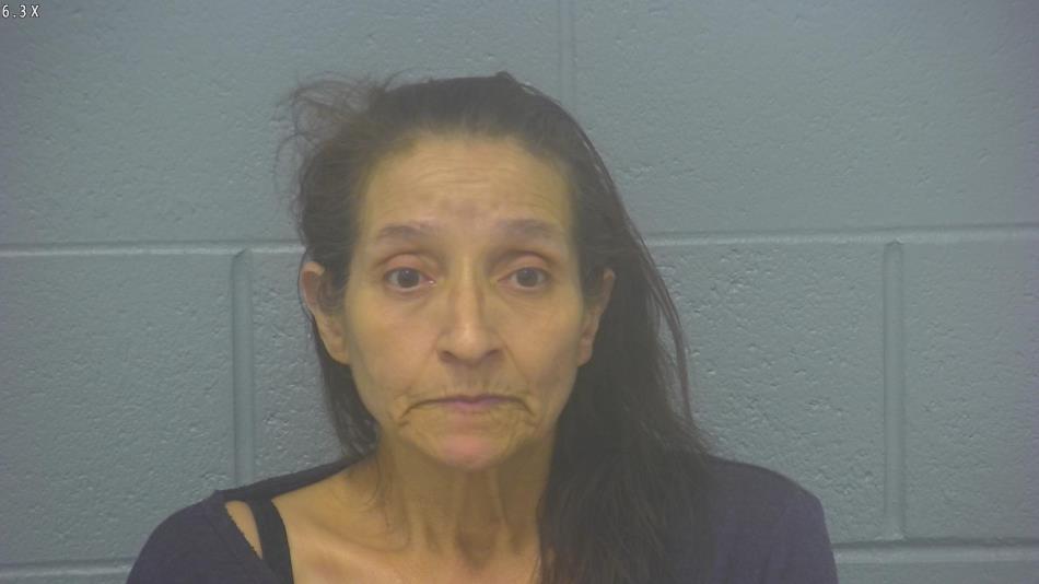 Arrest Photo of LYDIA HENNESAY, arrested on 3/30/2024