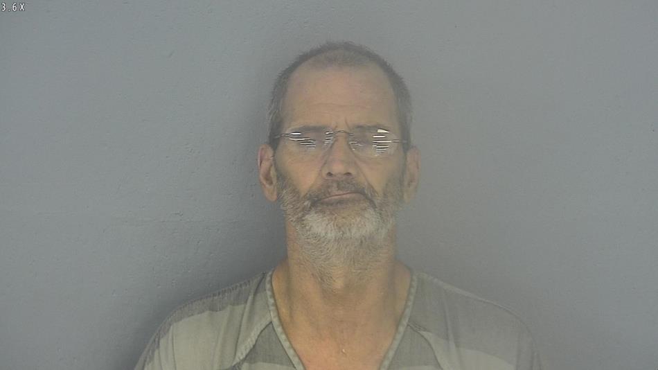 Arrest photo of LYNN VICH