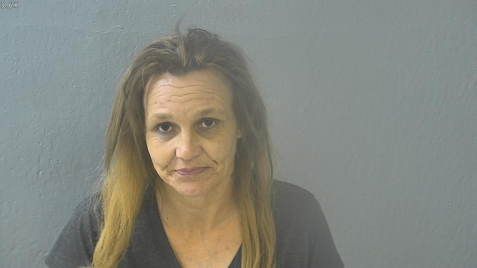 Arrest photo of MACHELLE FIELDS