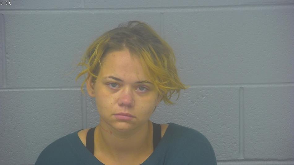 Arrest photo of MADELYNE SOUTHARD