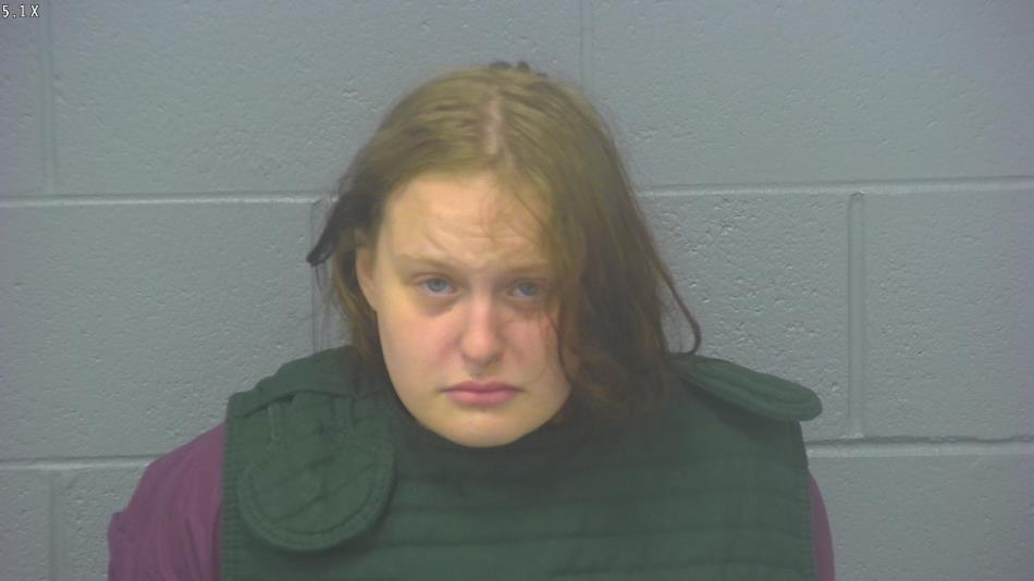 Arrest photo of MADYSON STILLIE