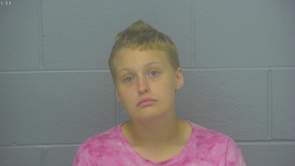 Arrest photo of MADYSON STILLIE