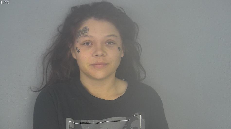 Arrest photo of MALLORY PHINNEY