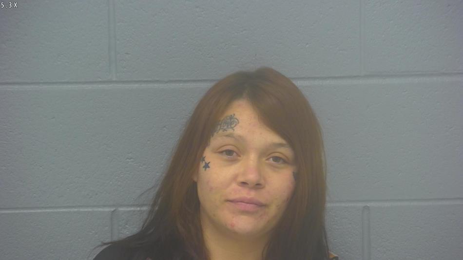 Arrest photo of MALLORY PHINNEY