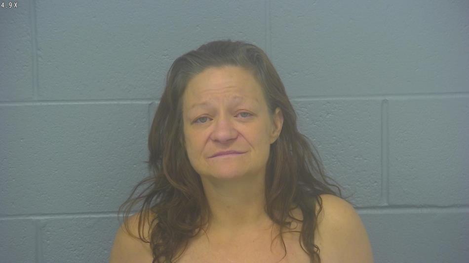 Arrest photo of MANDY HOLLINGSHEAD