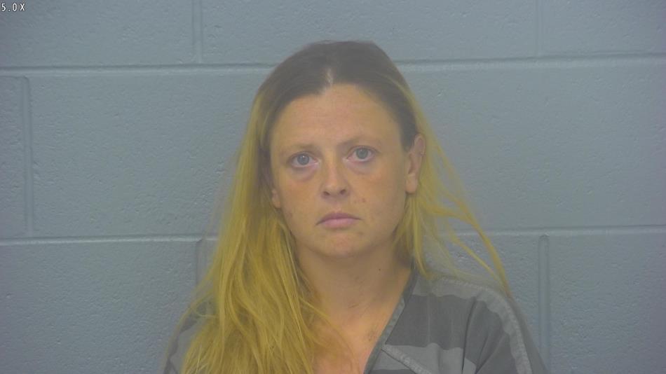 Arrest photo of MARIA INCE