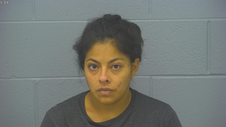 Arrest photo of MARIBELLE ORTIZ