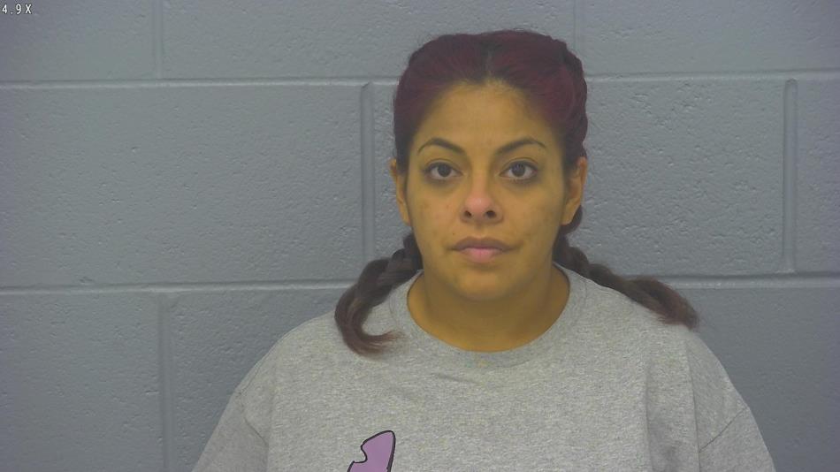 Arrest photo of MARIBELLE ORTIZ