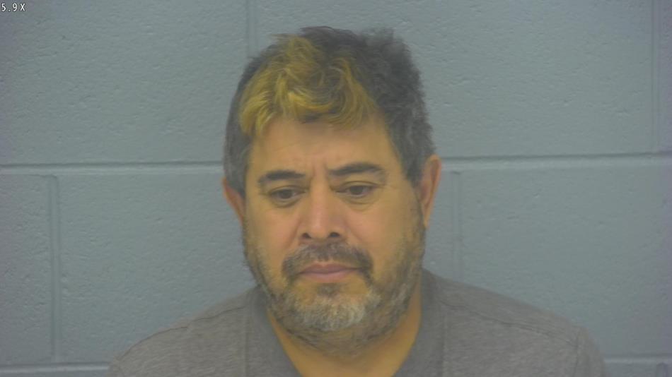 Arrest photo of MARIO CASTILLO