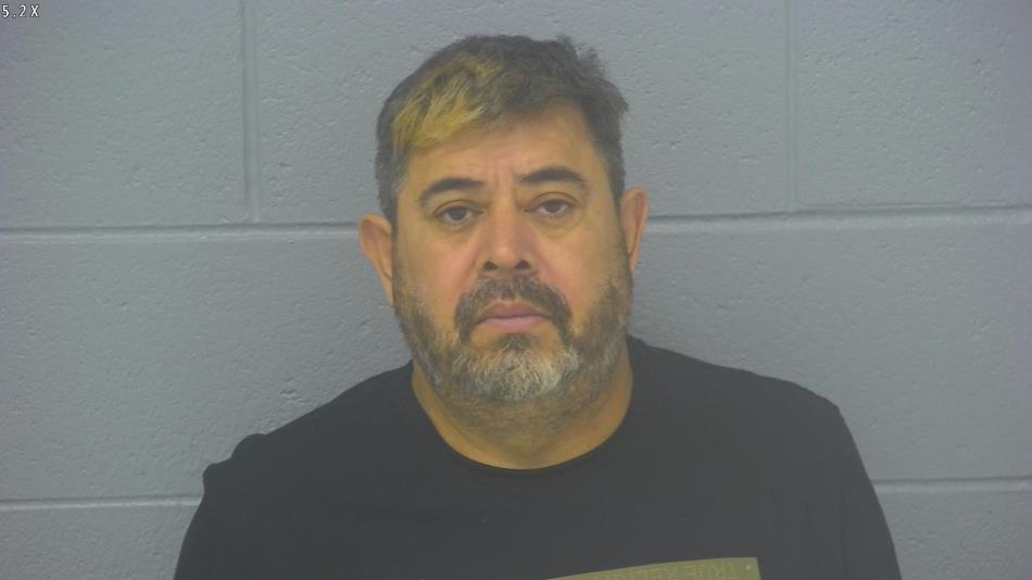 Arrest photo of MARIO CASTILLO