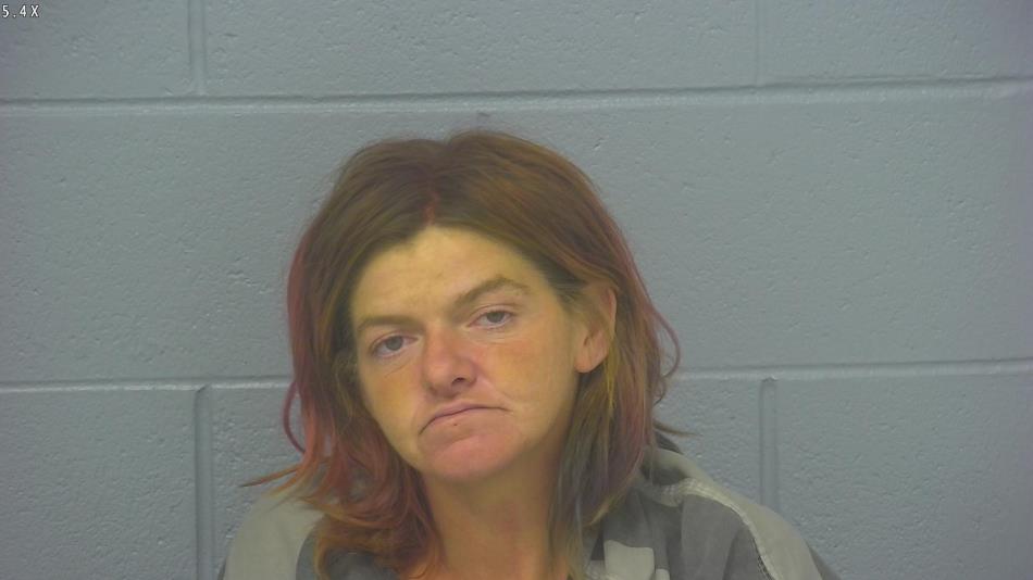 Arrest photo of MARISSA BRADLEY