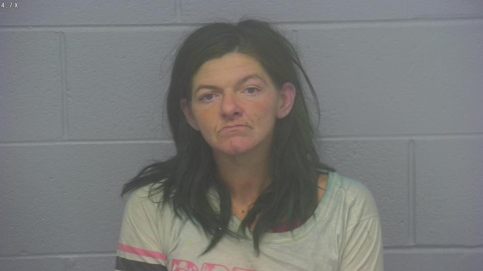 Arrest photo of MARISSA BRADLEY