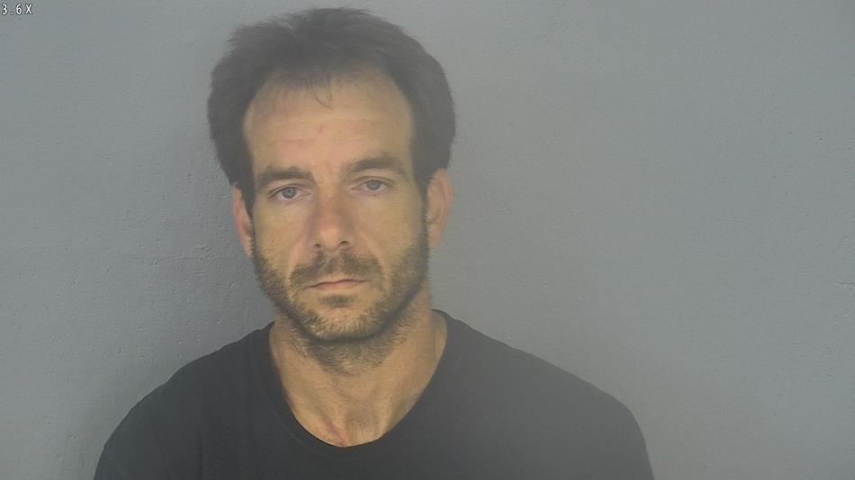 Arrest photo of MARK BRADY