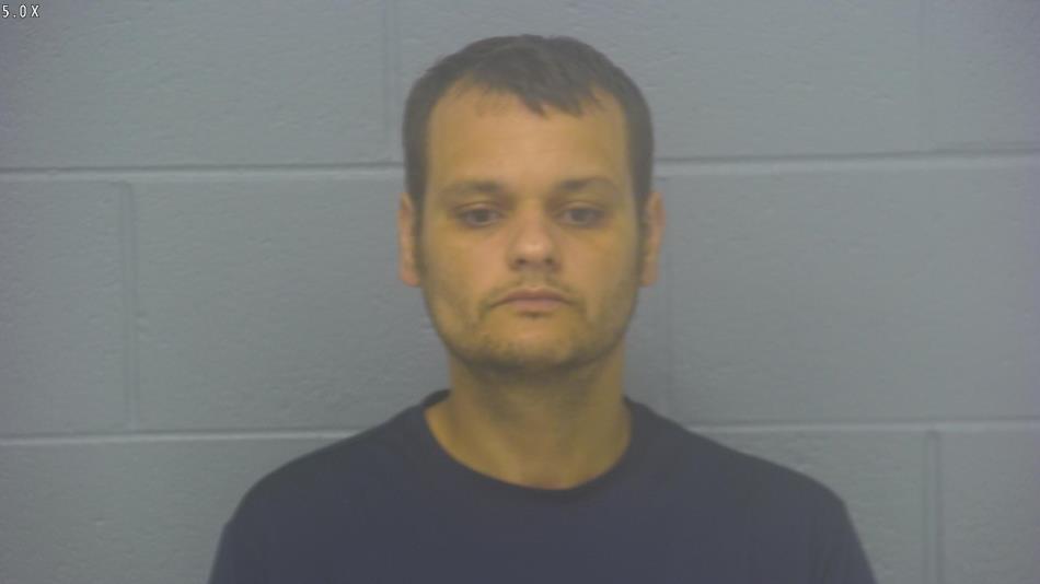 Arrest photo of MARK LONG