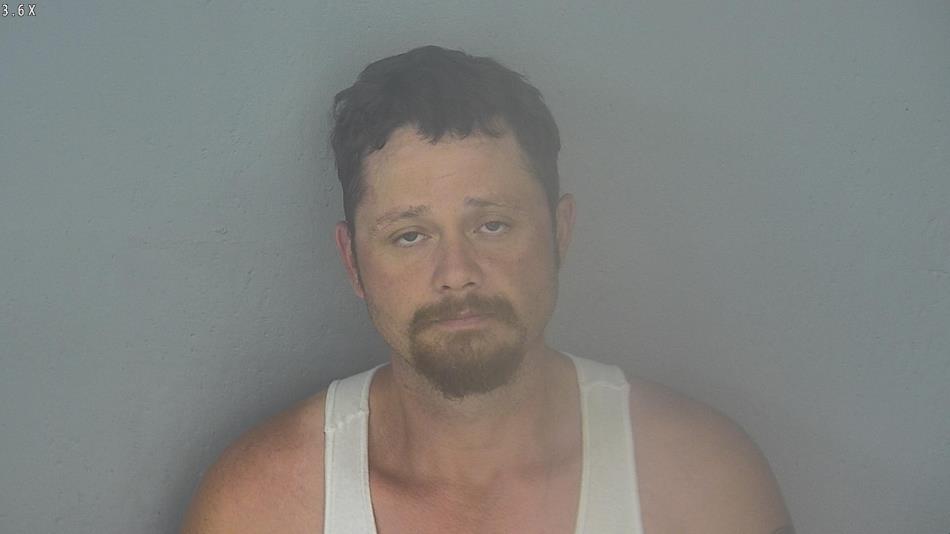 Arrest photo of MARK MCCARTNEY