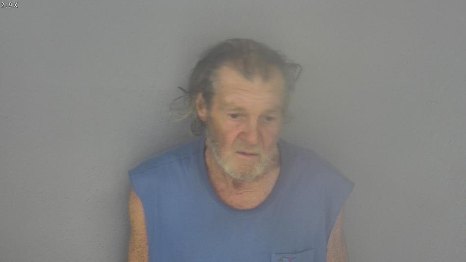 Arrest photo of MARK WOOD