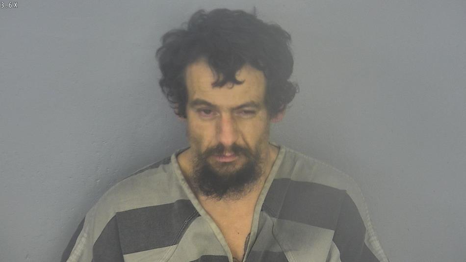 Arrest photo of MARK BOYD