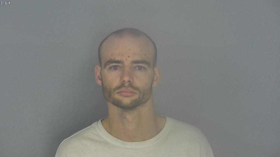Arrest photo of MARK WOLLEN