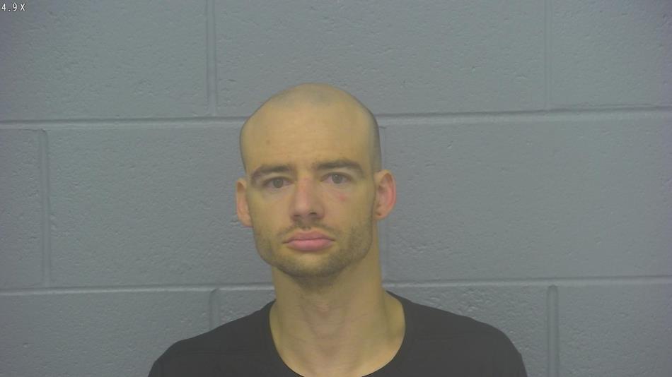 Arrest photo of MARK WOLLEN