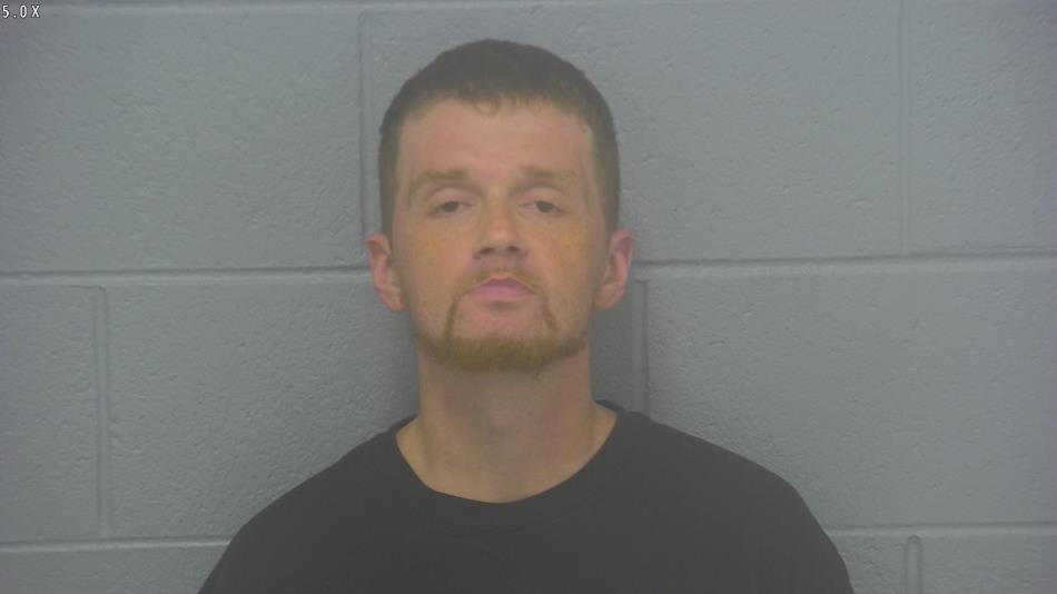 Arrest photo of MARK SLADE