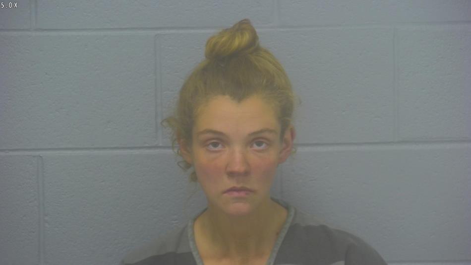 Arrest photo of MARLEE STRUNK