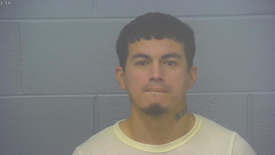 Arrest photo of MARLON ORTIZ-MENDEZ