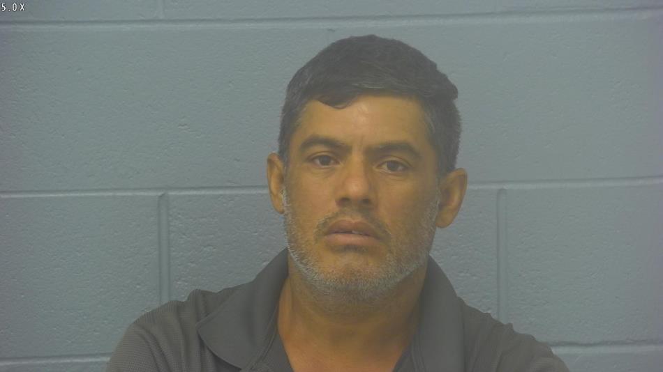 Arrest photo of MARLON ANDINO