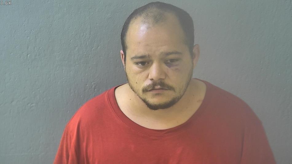 Arrest photo of MARTY  HARRINGTON