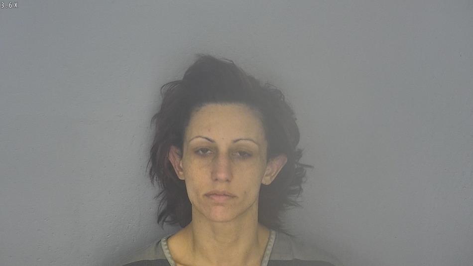 Arrest photo of MARY DIANETTI