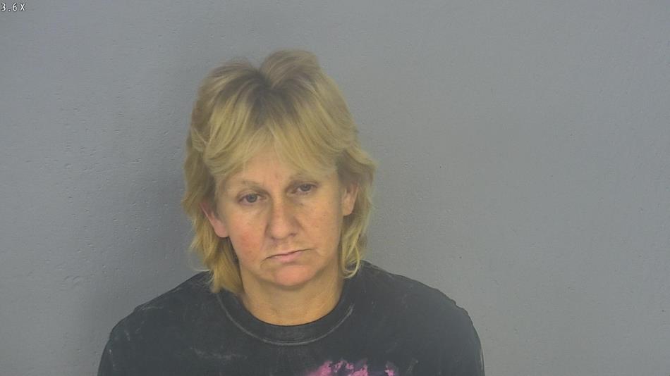 Arrest photo of MARY LOUYA