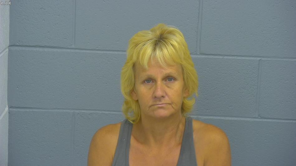 Arrest photo of MARY LOUYA