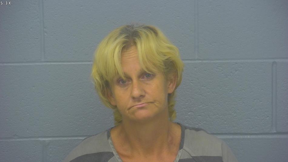 Arrest photo of MARY LOUYA