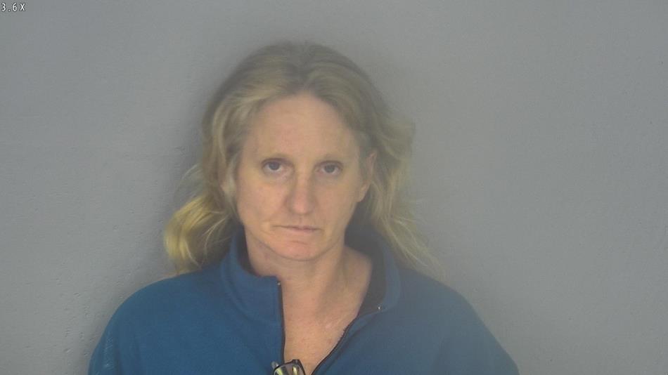 Arrest photo of MARY WALSH