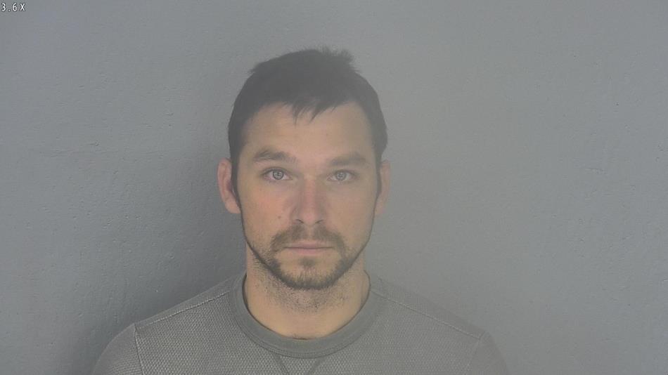 Arrest photo of MATHEW LIMON