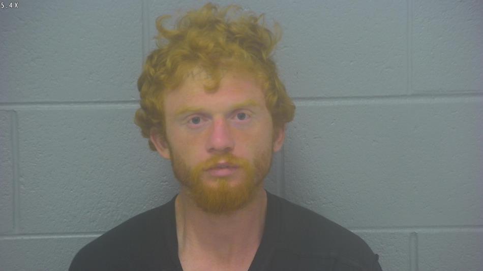 Arrest photo of MATTHEW GRIFFIS