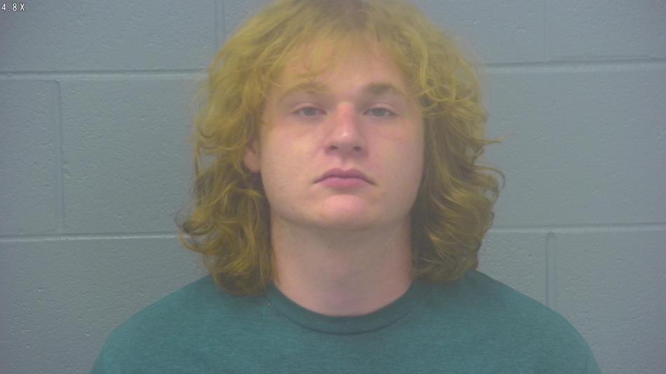 Arrest photo of MATTHEW WALSTON