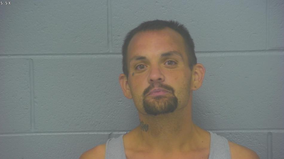 Arrest photo of MATTHEW BRESSMAN